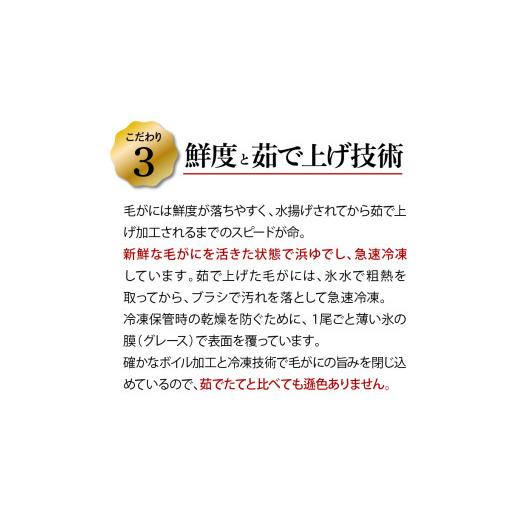 ふるさと納税 北海道 石狩市 130012 前浜ゆで毛がに 姿(約360g×2尾)2人用