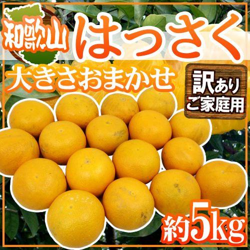 和歌山産 ”はっさく” 訳あり 約5kg 大きさおまかせ 送料無料