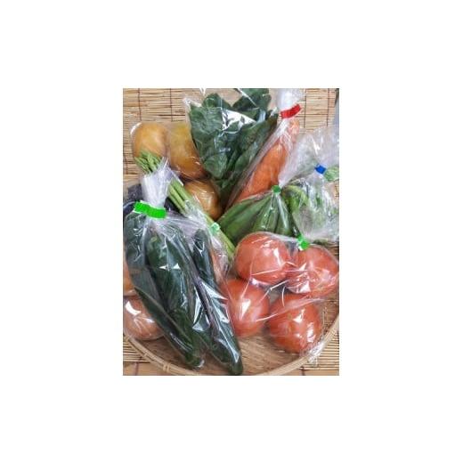 ふるさと納税 滋賀県 草津市 季節の地元野菜と果物詰合せセット