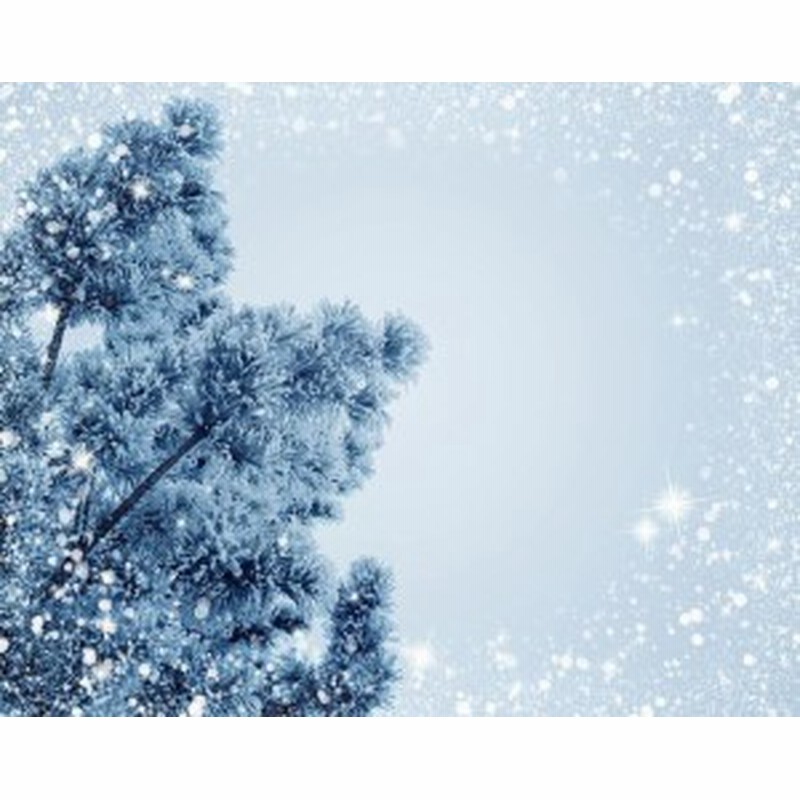 絵画風 壁紙ポスター ホワイトクリスマス 雪景色 雪 クリスタル スノー X Mas キャラクロ Xms 035s2 594mm 472mm 通販 Lineポイント最大1 0 Get Lineショッピング