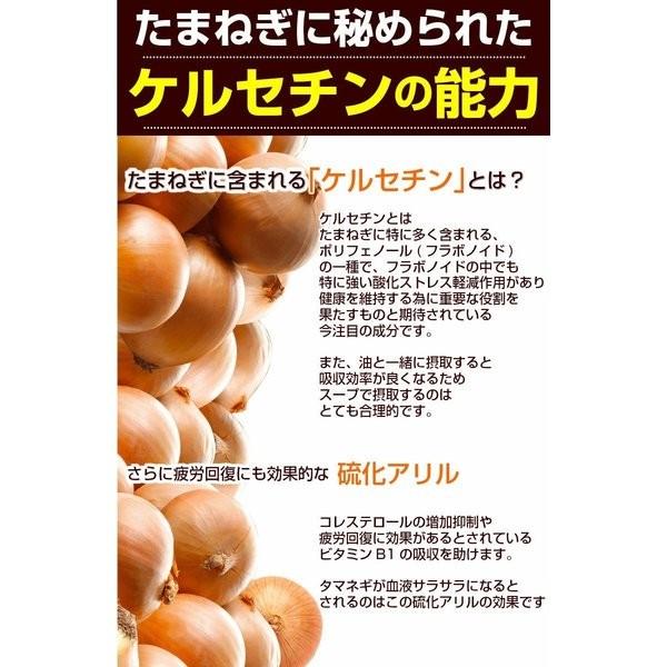 玉ねぎスープたまねぎスープ 訳あり 業務用 粉末 個包装  送料無料 詰め合わせ