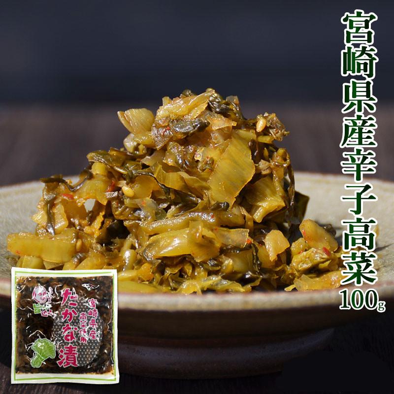 ＜からし高菜100g＞ 辛子高菜 たかな