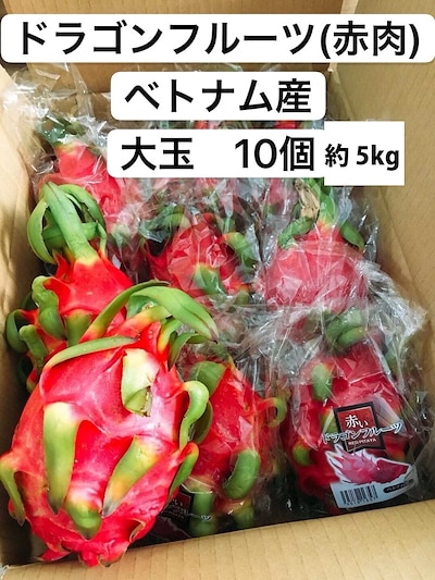 ドラゴンフルーツ 赤肉 ベトナム産 大玉 10個 約5kg