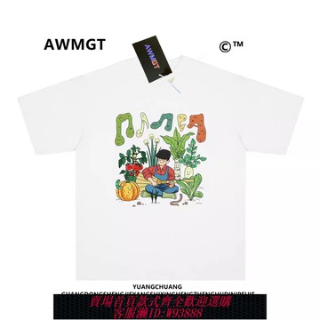 {可刷卡 打統編}致敬方大同周邊漫畫印花短袖T恤重磅純棉寬松小領口直噴情侶短袖