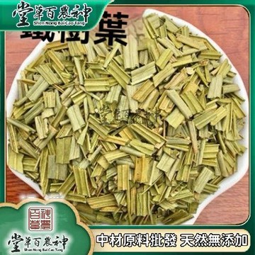 鐵樹葉 紅葉鐵樹紅鐵樹鳳尾蕉葉鐵樹葉 自然曬幹250g-500g【原材批發】