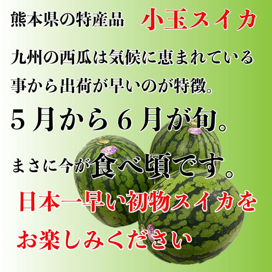 （予約商品）秀品 ひとりじめ 3玉 3L 7〜8ｋｇ 送料無料 熊本 高級スイカ 西瓜 すいか　ギフト