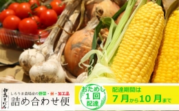 白馬そだち（旬の野菜・米・加工品）詰合せ便（1回）7月〜10月期間限定お届け