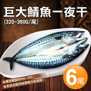 築地一番鮮-北極洋｜特大｜鯖魚一夜干320-360g｜6尾