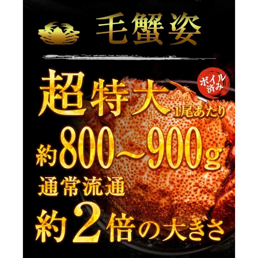 ボイル 三大蟹セット タラバガニ 肩 ズワイガニ 毛がに 特大 総重量約2.5〜2.8kg たらば ずわいがに 毛ガニ