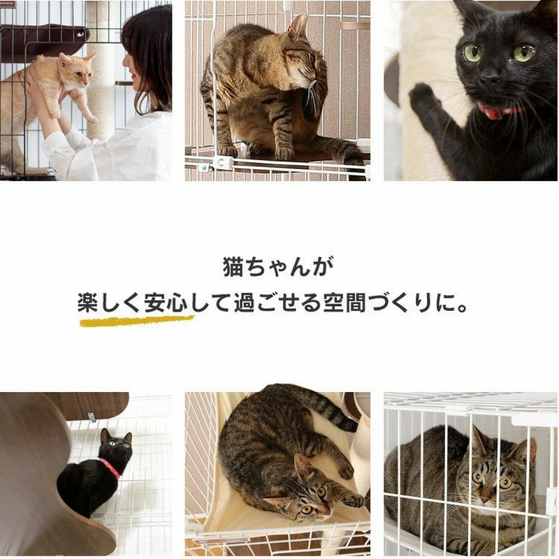 猫ちゃんの形のスケルトーン器と台 か黒