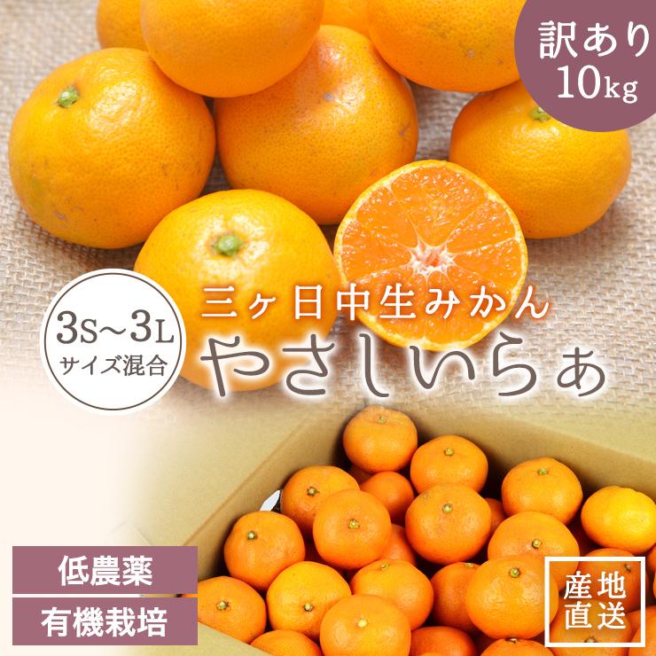  低農薬 有機栽培 三ヶ日 中生 みかん 10kg 南柑 送料無料 訳あり やさしいらぁ 3S 〜 3L サイズ不揃い オーガニック 特別栽培 有機肥料 減 農薬