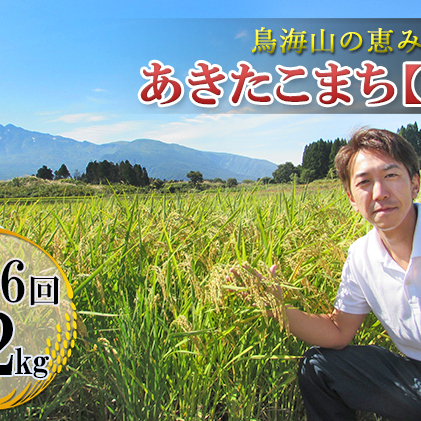 《定期便》2kg×6ヶ月 鳥海山の恵み！秋田県産 あきたこまち ひの米（玄米）計12kg（2kg×6回連続）