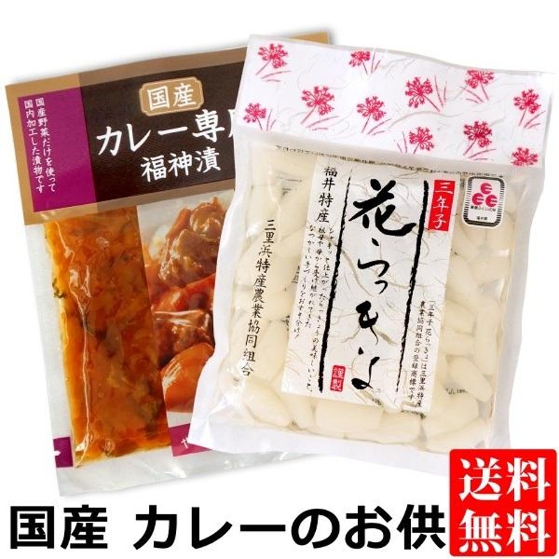 国産 カレー専用 福神漬＆ 福井県産 三年子 花らっきょ メール便 送料  