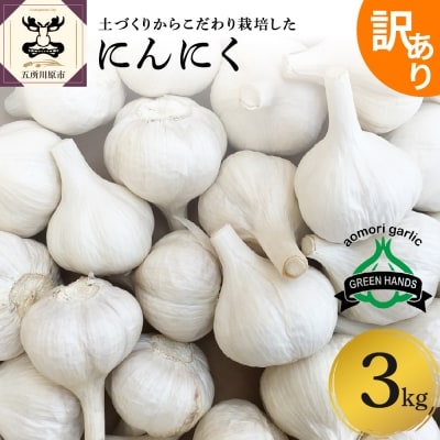 青森県産にんにく3kg(1kg×3)