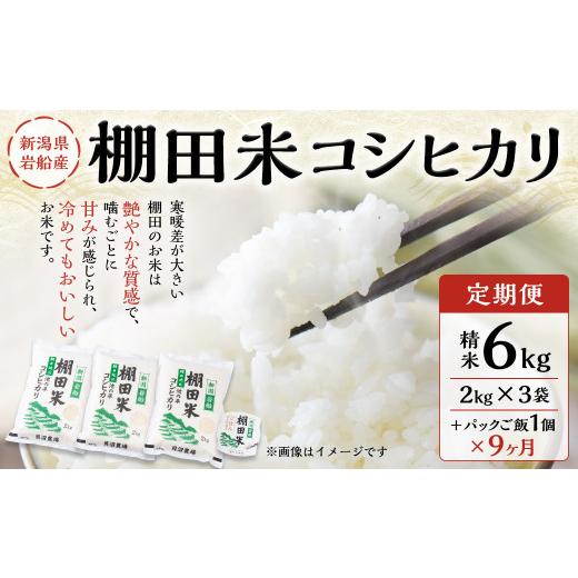 ふるさと納税 新潟県 村上市 新潟県岩船産  6kg（2kg×3袋） パックごはん(150g×1個)×9…