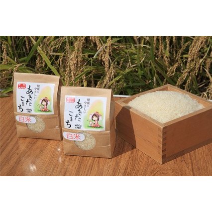 新米 玄米 ポイント消化に 特別栽培米あきたこまち 秋田県大潟村産 3合入り2袋セット