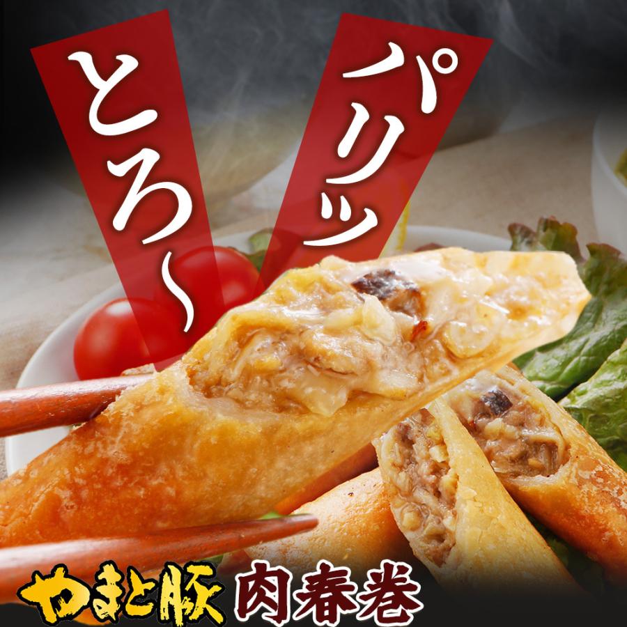 やまと豚 肉春巻 80本 NS-CG [冷凍] お歳暮 御歳暮 2023 食品 内祝い 春巻 春巻き 冷凍食品 点心 お取り寄せグルメ 中華 ご飯のお供 食べ物 おかず