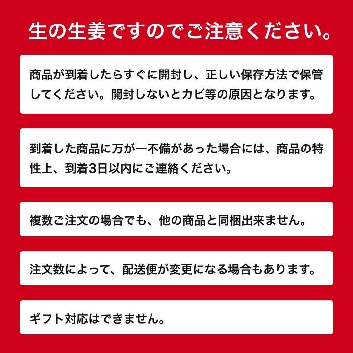 食用 高知県産 特別栽培 近江生姜（白）3kg