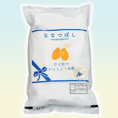 ふるさと納税 芦別市 北海道芦別産農家直送ななつぼし 5kg(5kg×1袋) 隔月 全3回