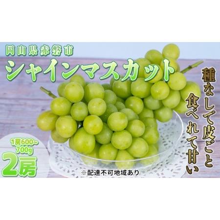 ふるさと納税 ぶどう 2024年 先行予約 ご家庭用 シャイン マスカット 2房 1房600g〜700g 8月下旬〜9月中旬発送分 ブドウ 葡萄 フルーツ 果物 岡.. 岡山県赤磐市