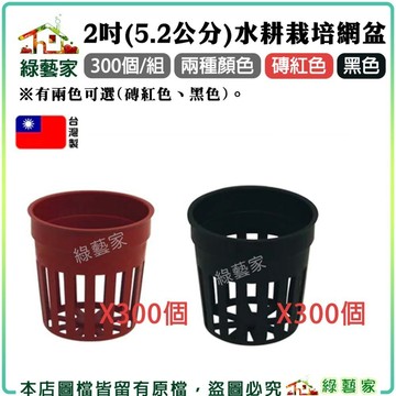 【綠藝家】2吋(5.2公分)水耕栽培網盆300個(水草栽培盆.定植籃.水草盆.水耕盆.水耕栽