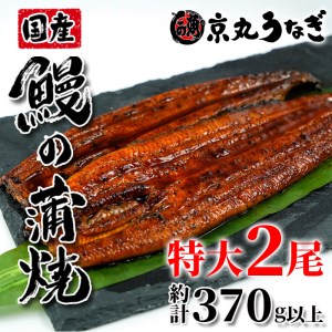 国産 鰻 うなぎ 特大 2尾 ギフト セット 蒲焼 うな丼 うな重