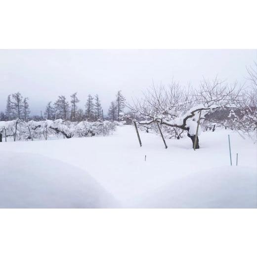 ふるさと納税 秋田県 鹿角市 《先行予約》秋田県鹿角産 りんご「ぐんま名月」家庭用 5kg（12〜20玉）●2023年12月上旬発送開始　りんご 林…