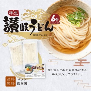 送料無料 半生うどん 6食 （300g×2）麺のみ 讃岐うどん ポイント利用 お試し ポイント消化 讃岐うどん ご当地グルメ 食品 産直 おすすめ