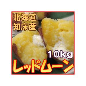 新じゃがいも レッドムーン 10kg 北海道産 ジャガイモ 産地直送 送料無料