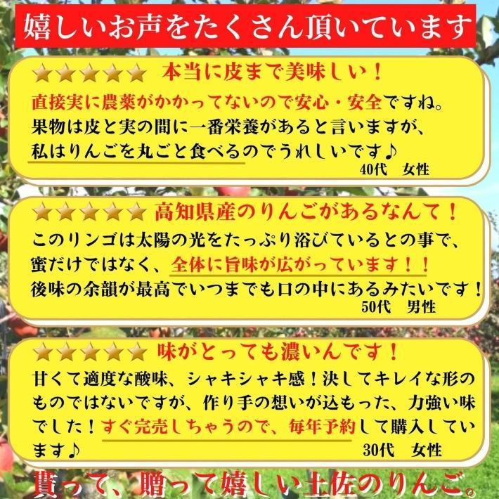 2024年度予約 高知県産 りんご ふじ  減農薬  有機肥料 8玉入 土本観光農園 ギフト 産地直送