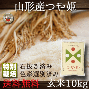 玄米 つや姫 山形県産 10kg 特別栽培 送料無料 （一部地域除く）