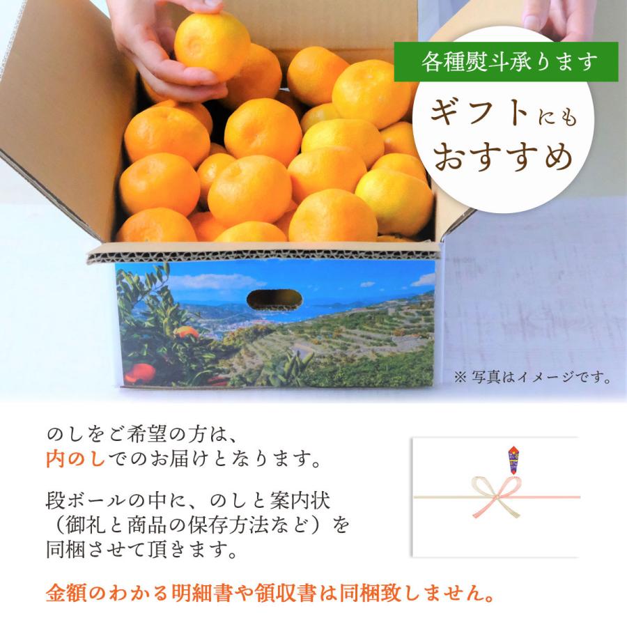 みかん 紅まどんな 同品種 訳あり ご家庭用 4kg 甘い 愛媛 西宇和地区 八幡浜市産 010105000408