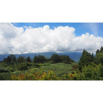 旅展優惠｜宜蘭旅遊｜福壽山避暑趣、夏季賞荷花、煙波品文旅三日遊｜高雄台南出發_GRORP26025