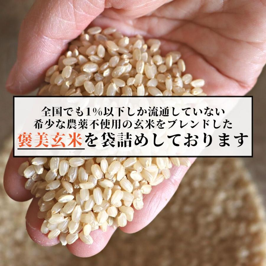 褒美玄米 150g 農薬不使用 令和4年産 お米 富山県産 滋賀県産 お米 おすすめ 玄米