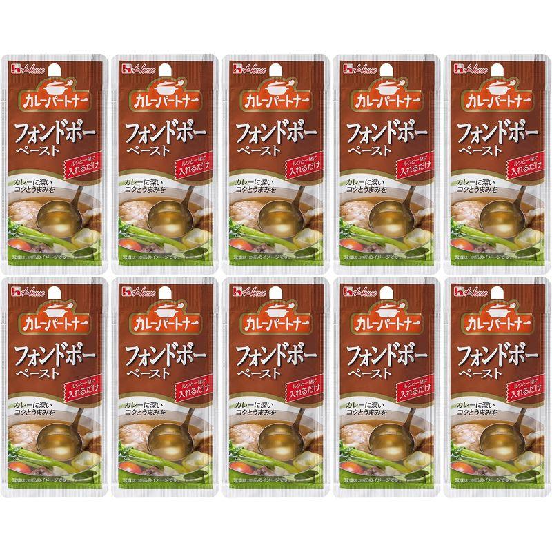 カレーパートナー フォンドボーペースト10個セット おまけ付き ハウス食品 使い切り 調味料