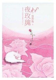 夜玫瑰[二手書_良好]