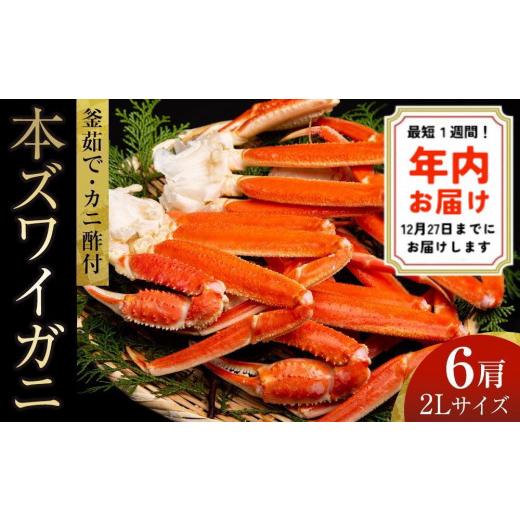 ふるさと納税 京都府 京丹後市 厳選！釜茹で　本ズワイガニ　２Lサイズ6肩