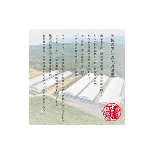 ふるさと納税 高知県 大月町 よさこい尾鶏 もも肉（200g×10パック）計6回