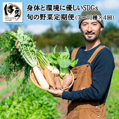 ふるさと納税 伊豆市 身体と環境に優しいSDGs旬の野菜定期便