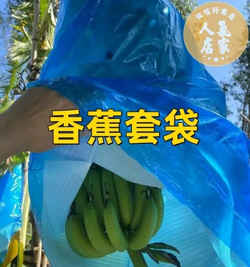 紗網袋 水果套袋 防蟲網 香蕉套袋芭蕉專用套袋防蟲連體一體袋保溫保護袋薄膜罩束袋套雙層
