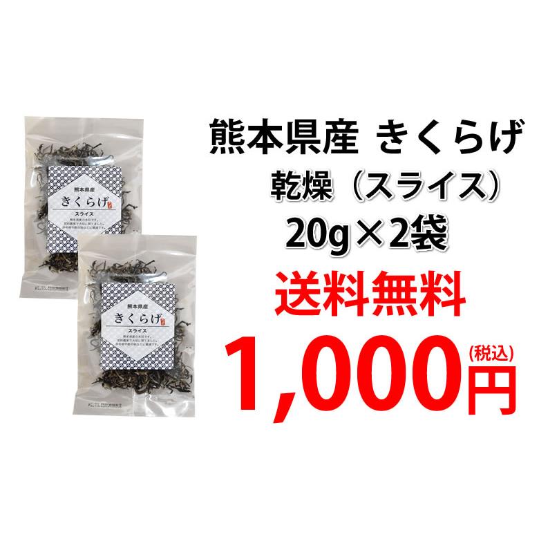 きくらげ 乾燥木耳 送料無料 希少な国産 スライス 20g×2袋 熊本県産