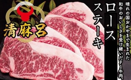 BS-1　牛肉　清麻呂牛ロースステーキセット540g(180g×3枚）