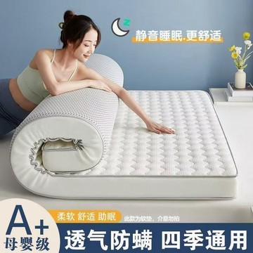 【臺灣🚍秒】加厚鋪底牀墊軟墊家用雙人臥室榻榻米學生宿舍單人租房專用褥子