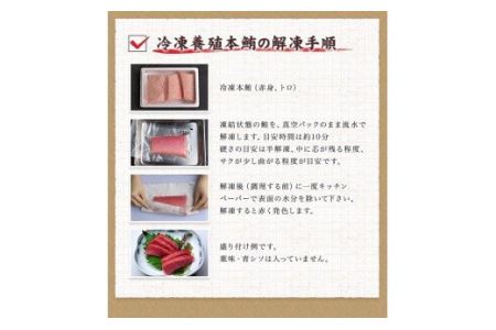 本マグロ（養殖）トロ＆赤身セット 500g まぐろ マグロ 鮪 中トロ 赤身 柵 