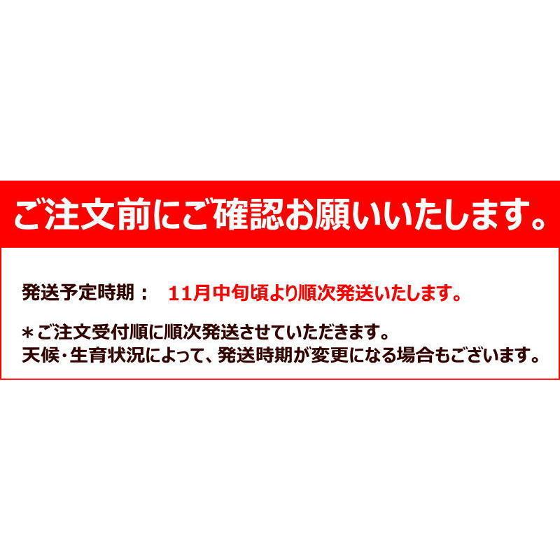 長崎県産 西海 味っ子みかん 2Sサイズ 約1kg 味っ子 西海 みかん 送料無料