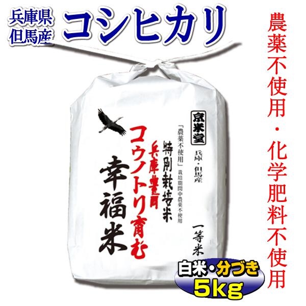 新米 お米 5kg コシヒカリ 農薬不使用 特別栽培米 兵庫県 但馬産 コウノトリ育む幸福米 一等米 令和5年産