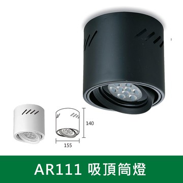 AR111吸頂筒燈 B38-KS6-5215
