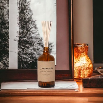 Torplyktan 北歐四季擴香 100ml 融冰