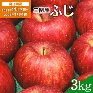 三関産りんご（ふじ）3kg[K2601]