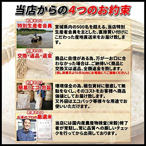 令和5年産 宮城県産 ひとめぼれ10kg 精白米（精米時重量約1割減）